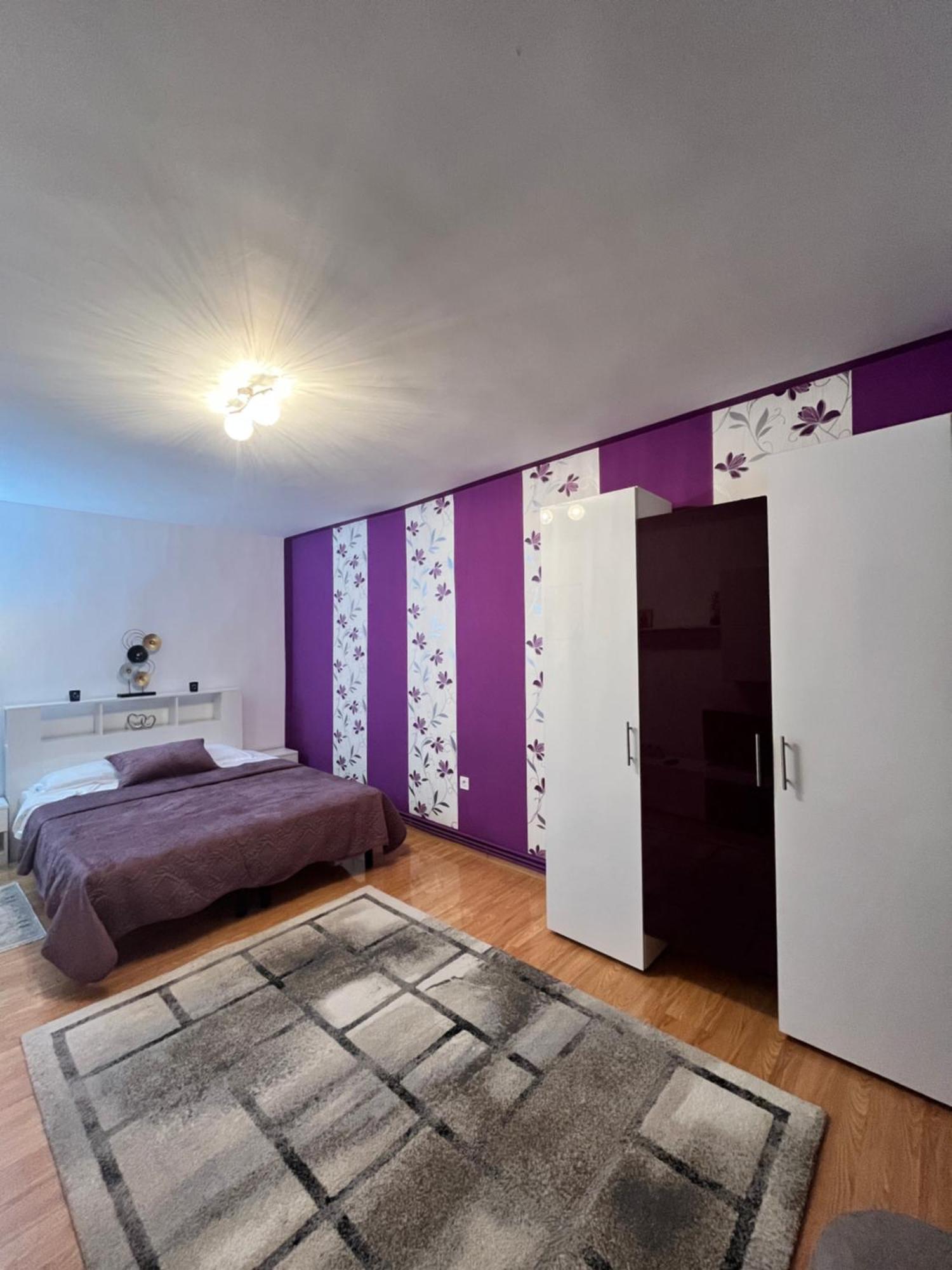 Carla Studio Braşov Dış mekan fotoğraf